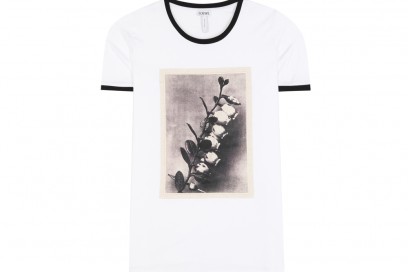 loewe-tshirt-stampa