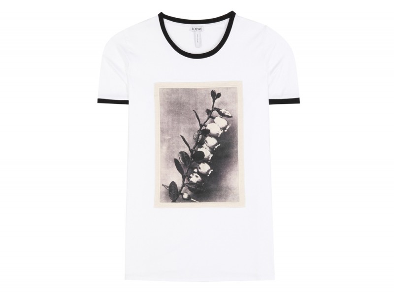 loewe-tshirt-stampa