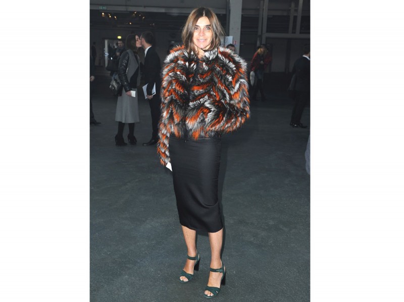 carine roitfeld pelliccia