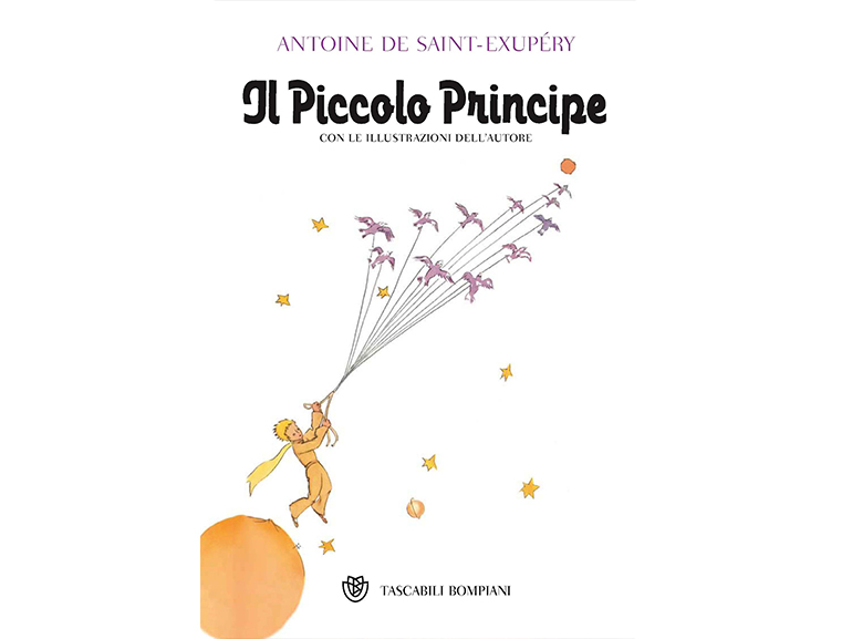 il piccolo principe libro