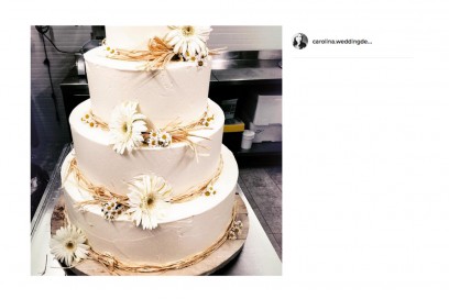 wedding-cake-carolina-wedding