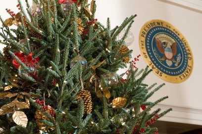 A decorated Christmas Tree is displayed
