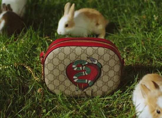 Cinemagraph_DiscoBag_550x400