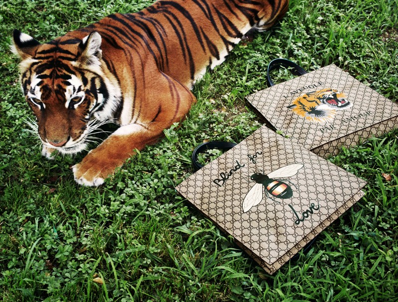 GU493_GIFT GIVING 16_RGB_150dpi_62