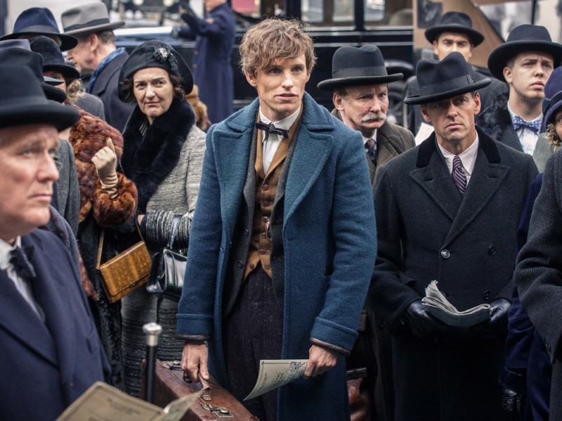 animali-fantastici_1