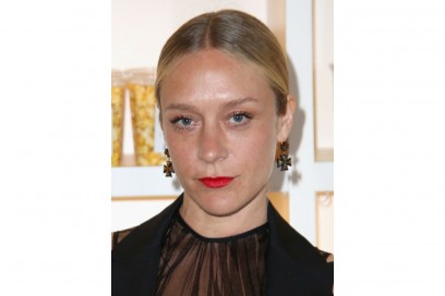 chloe sevigny (2)