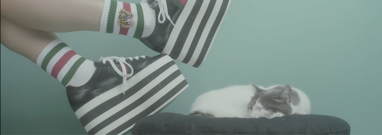 cover-puffer-match-desktop