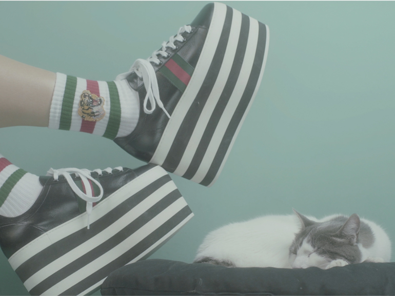 cover-puffer-match-mobile