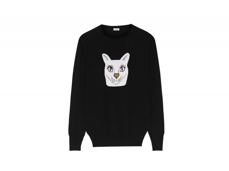 loewe-maglione-gatto