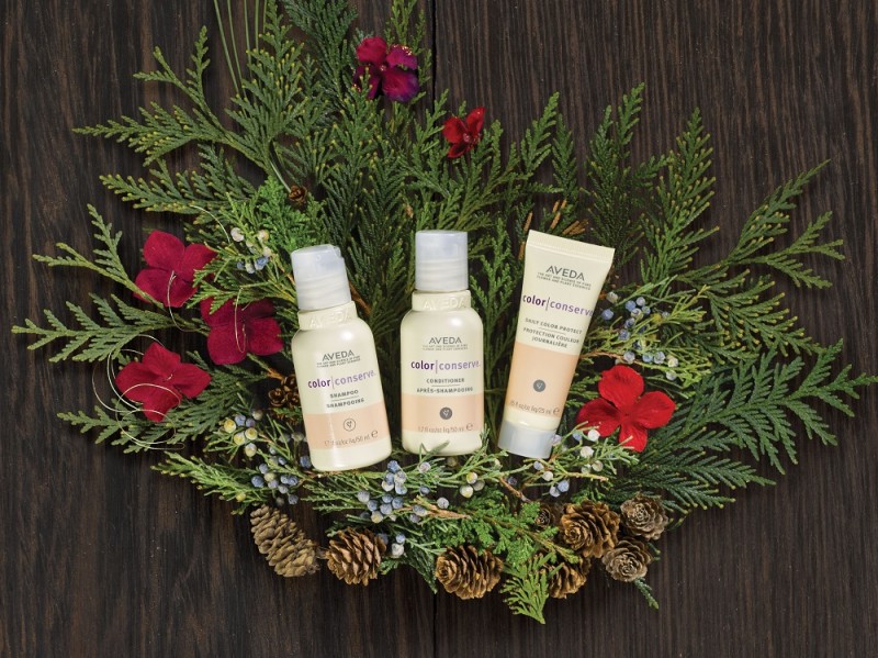 regali-di-natale-holiday-set-aveda-A-gift-for-colorful-travel