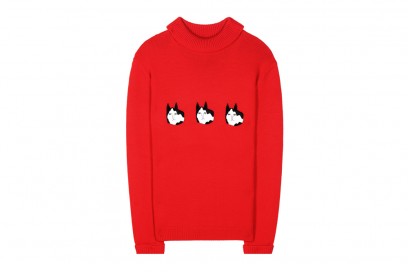 shrimps-maglione-rosso-gatto