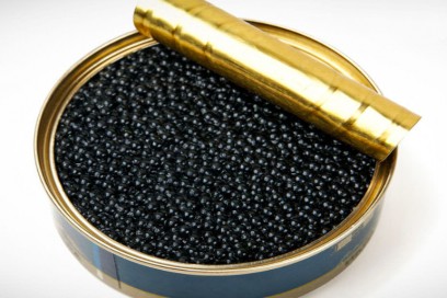 Beluga deluxe Caviale San Pietroburgo