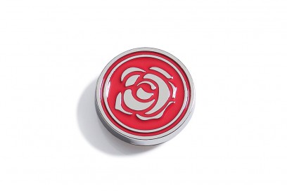 dior-pins-7