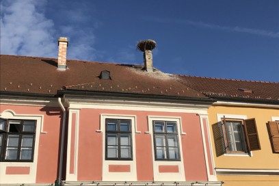 burgenland nido cicogne