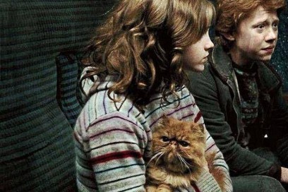 grattastinchi harry potter