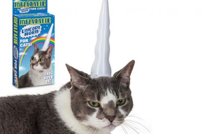 unicorno cani gatti