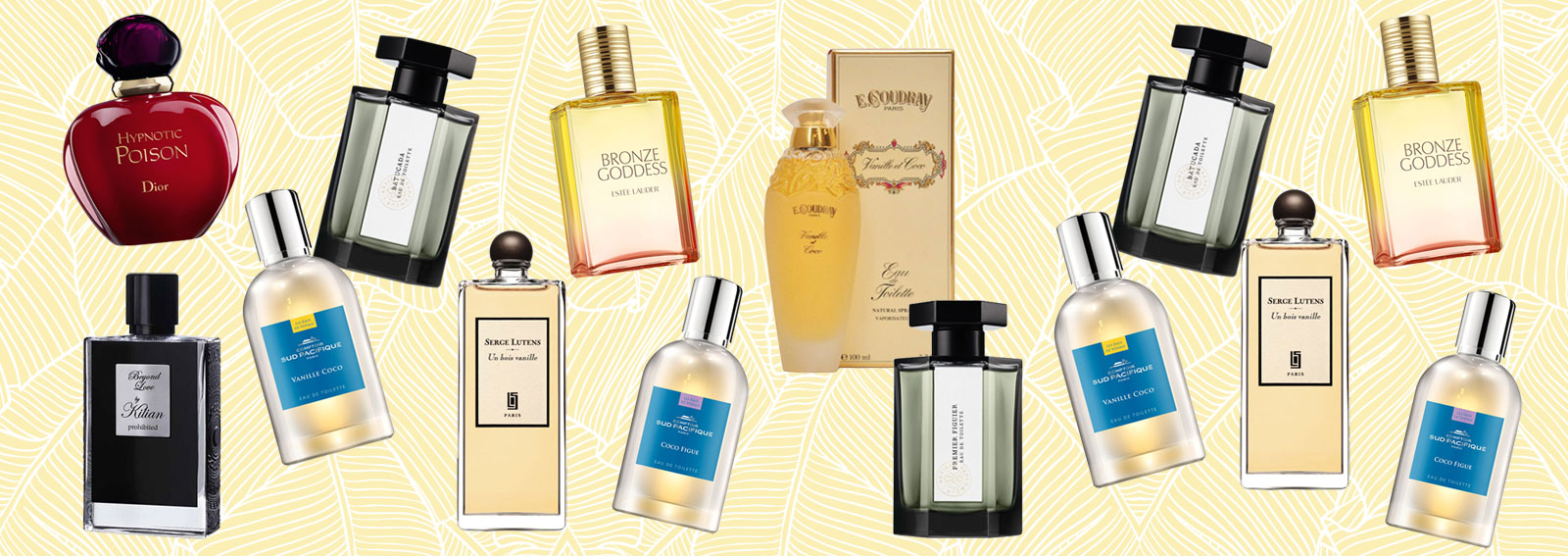 profumi al cocco fragranze cremose ed esotiche