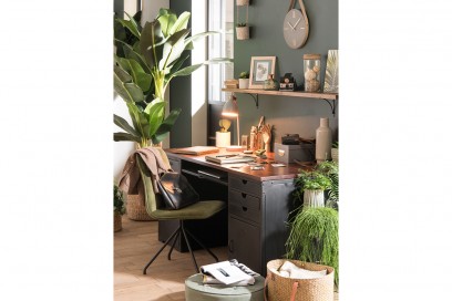 bureau-des-plantes