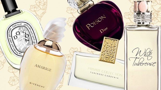 Profumi alla tuberosa: il fiore bianco carnale e ipnotico - Grazia.it