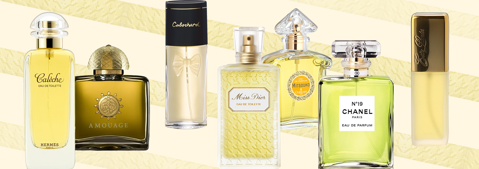 Profumi chypre: significato, caratteristiche e storia