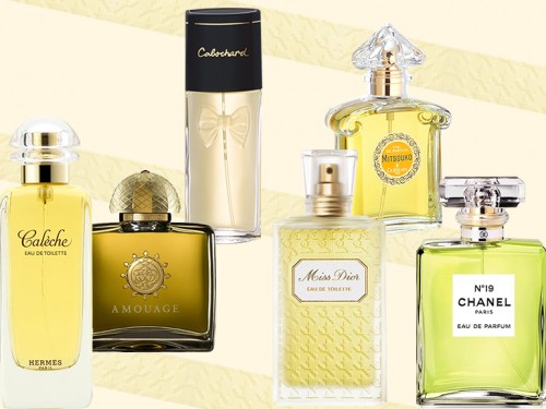 Profumi chypre: significato, caratteristiche e storia - Grazia.it