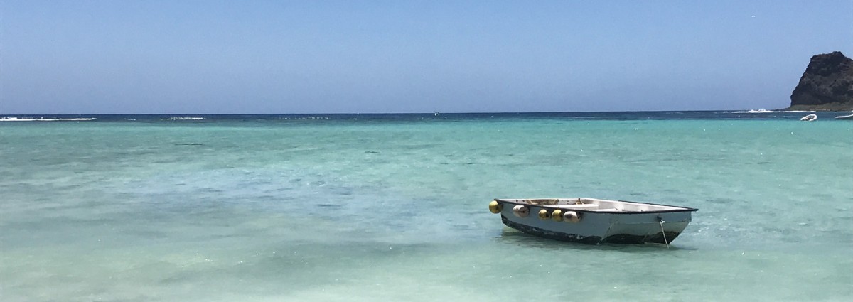 hero desktop mauritius