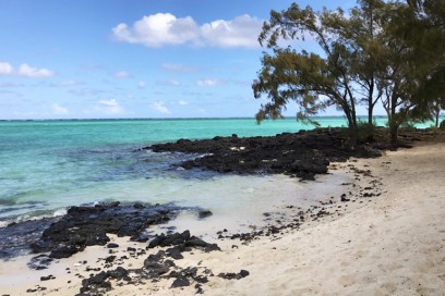 isola mangenie cervi