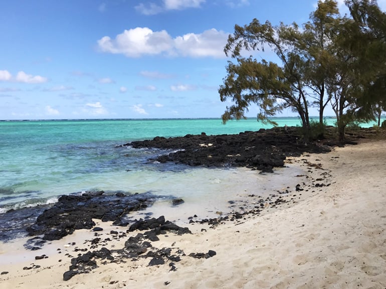 isola mangenie cervi