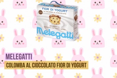 melegatti-fior-di-yogurt-cioccolato