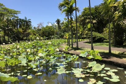 parco botanico