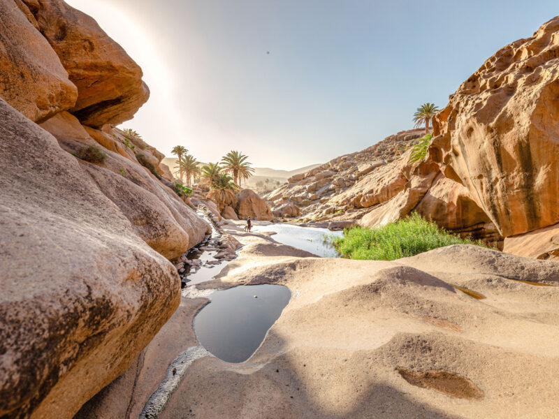 GettyImages-fuerteventura