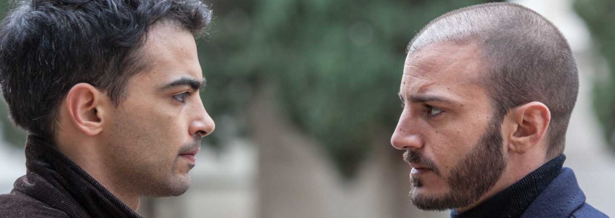 laragazzadeimieisognidesktop