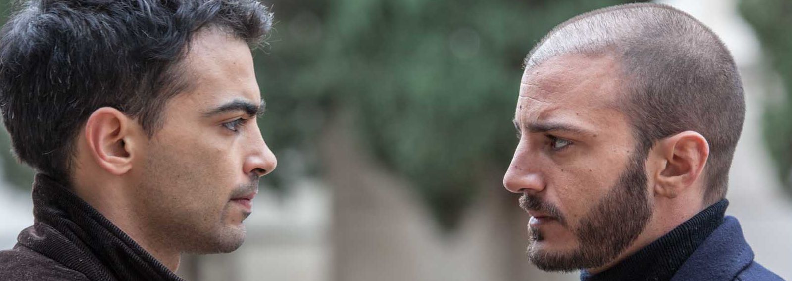 laragazzadeimieisognidesktop