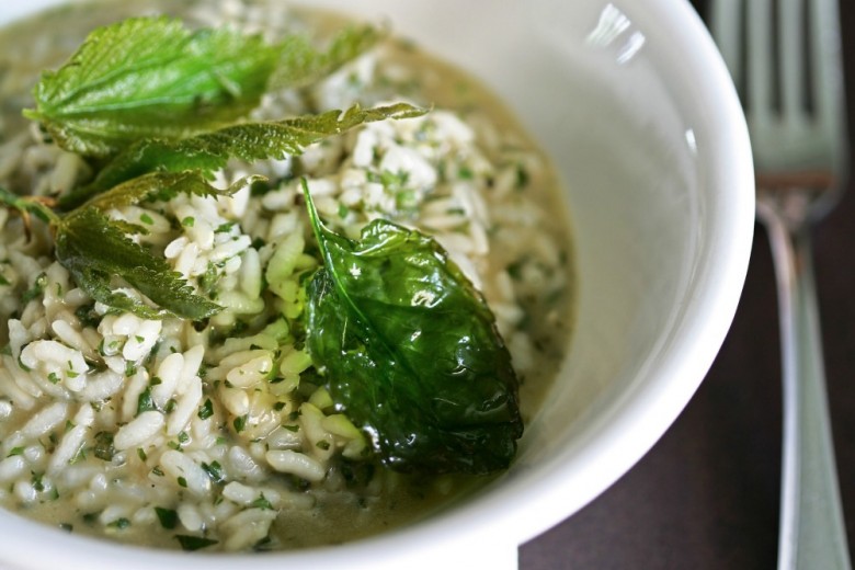 Risotto con ortiche ed erbe di campo