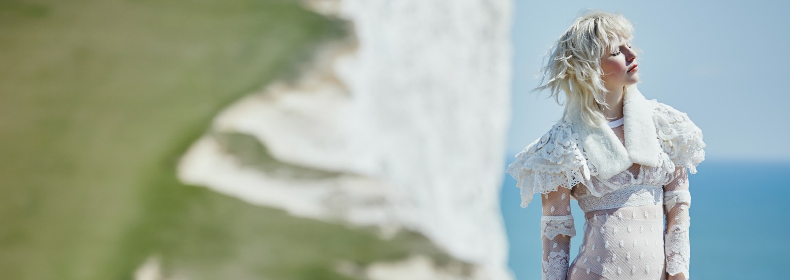 cover ornamental summer desktop