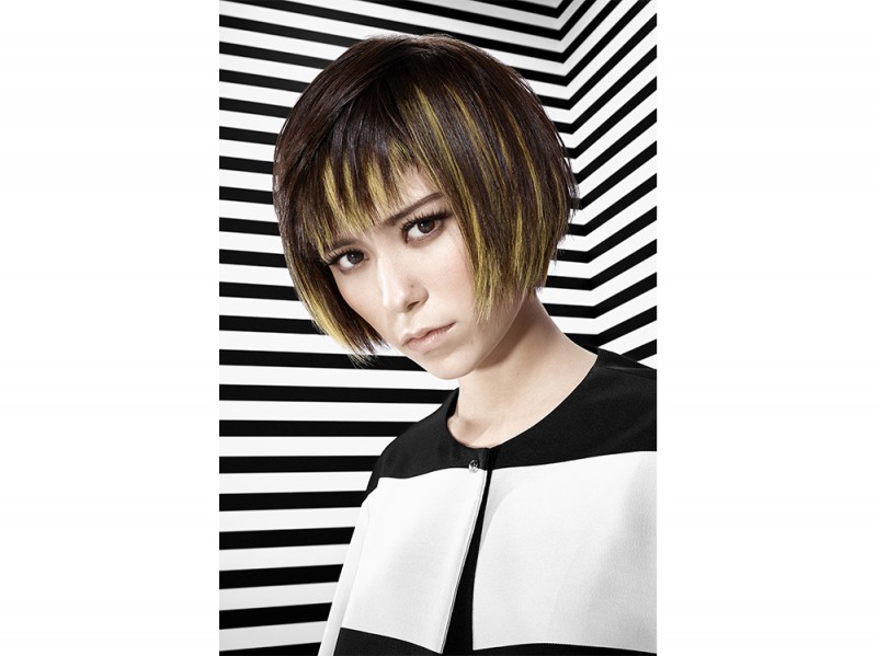 framesi colore capelli saloni primavera estate 2017  (6)