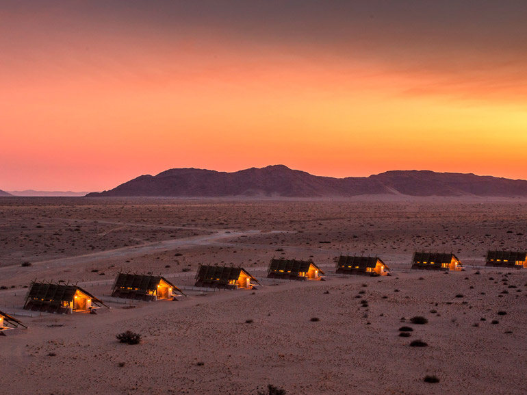 Desert-Quiver-Camp