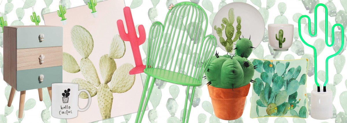 cover-cactus-home-decor-desktop