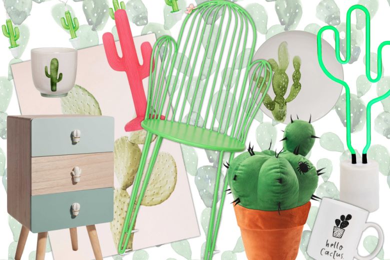 I cactus nell’home decor: 15 idee da comprare subito