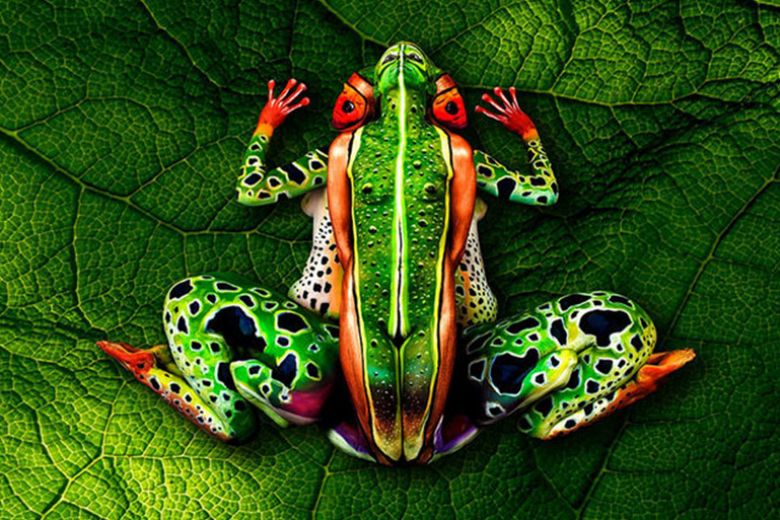 Il modo in cui si reagisce alle illusioni ottiche svela la personalità
