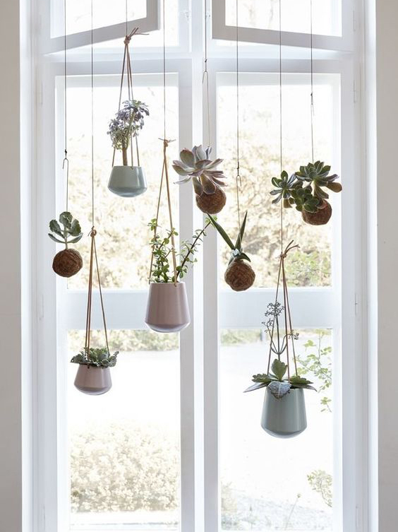 Ceramiche davanti alla finestra al posto della tenda