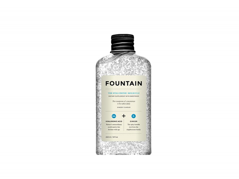Fountain-The Hyaluronic Molecule