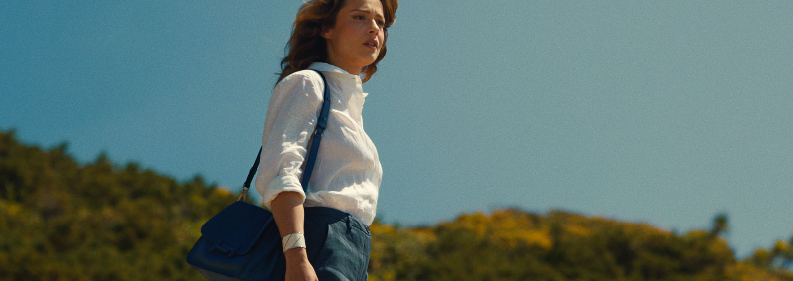 TODS-HARVEST_MOON_desktop