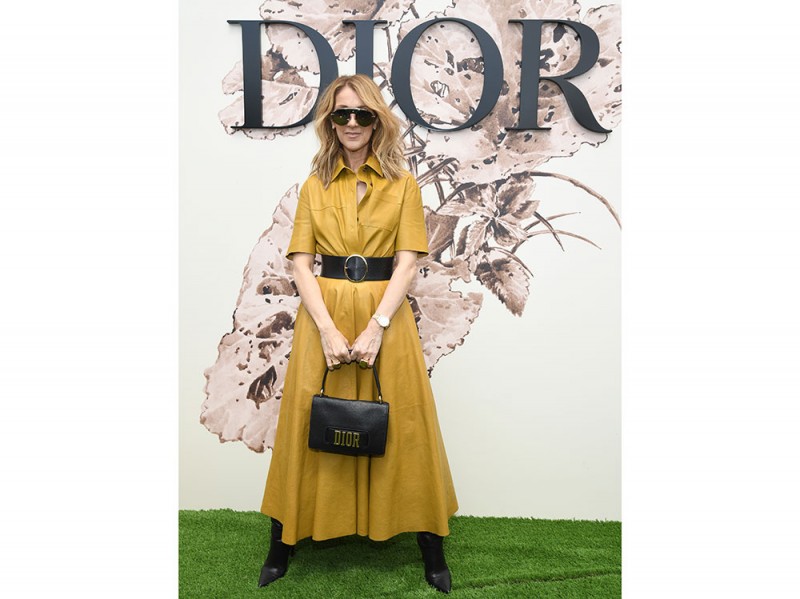 celine-dion-dior-getty