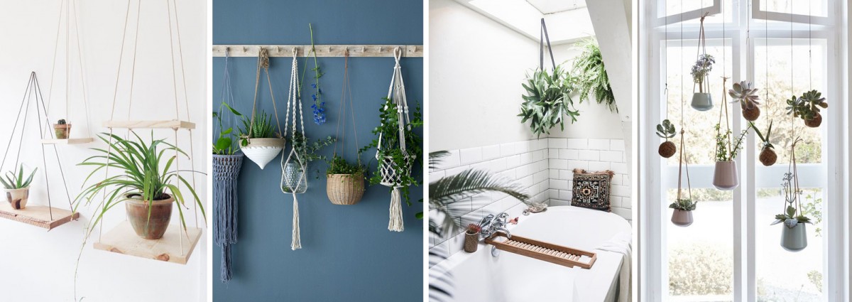cover-decorare-casa-piante-appese-desktop