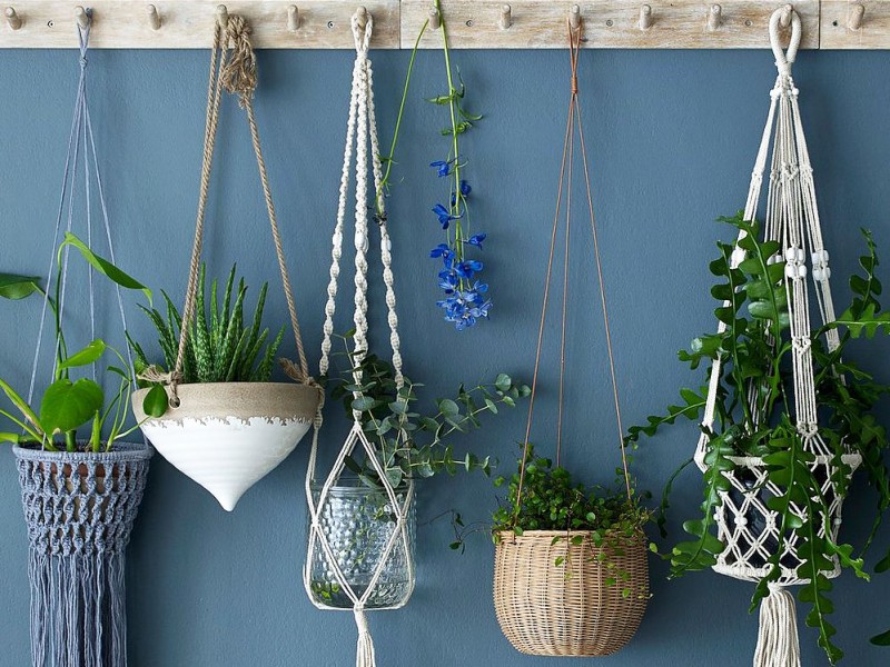 cover-decorare-casa-piante-appese-mobile