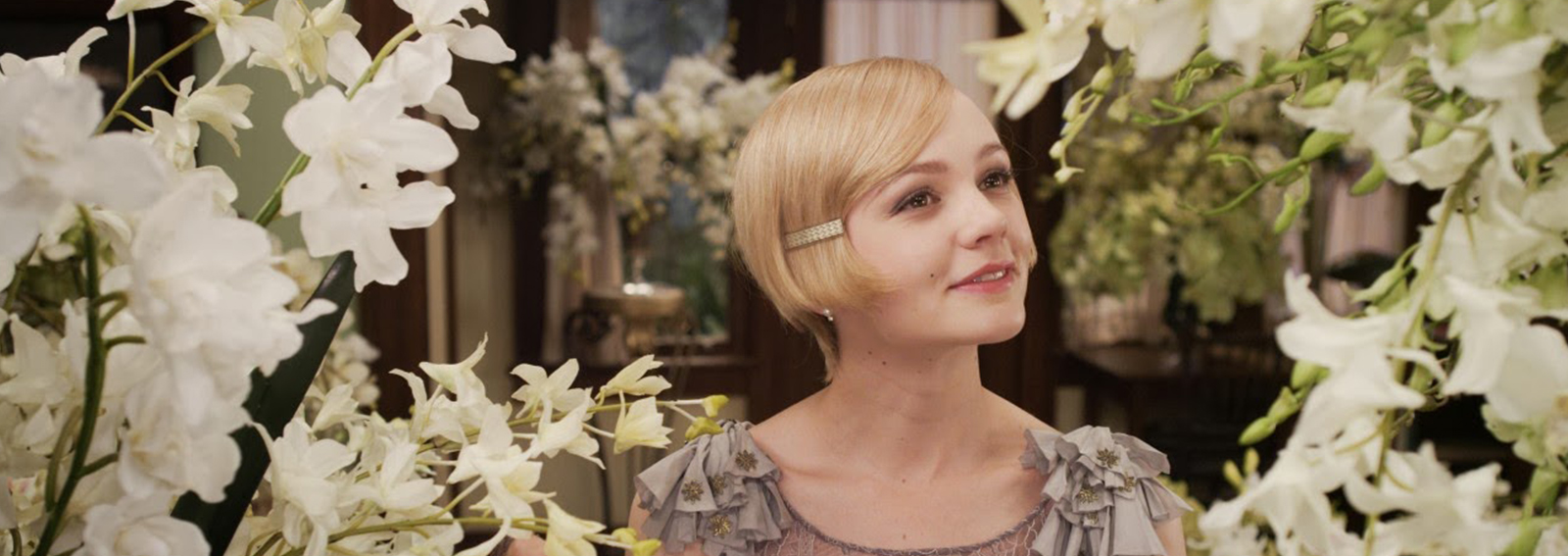 cover piante appartamento che fanno bene desktop