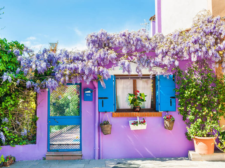 Casa Viola di Burano