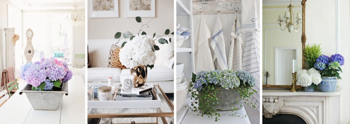 cover-arredare-ortensie-desktop