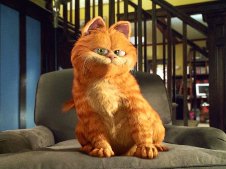 Garfield sul divano